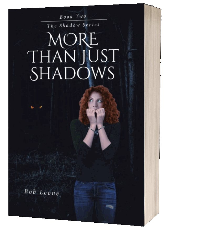 Book 2 More than Just Shadows