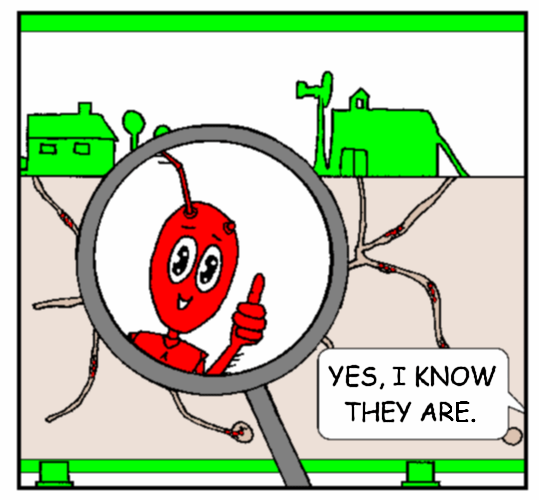 Tell your friends! A new comic page added every Tuesday!